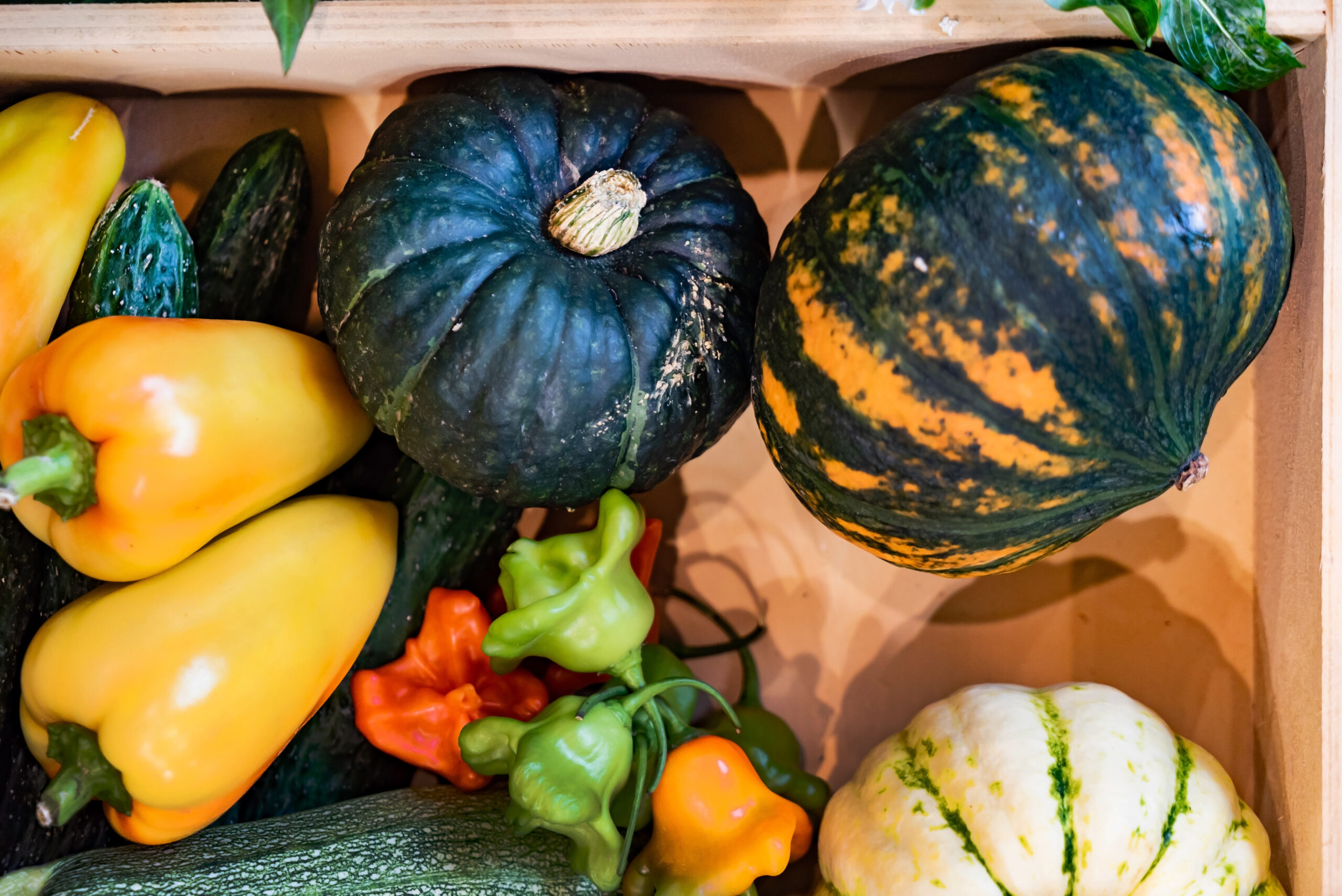 Top view of pumpkins and bell peppers in a box, representing healthy vegetables to add to your personalized nutrition plan.